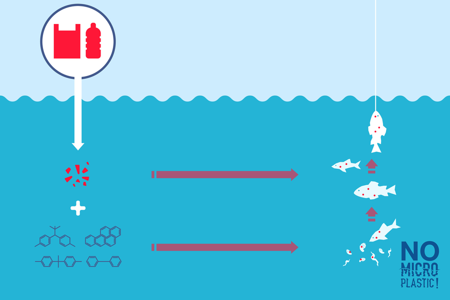 Erklärgrafik: Wie beeinflusst Mikroplastik die Ozeane, Wassertiere und die Menschen ?